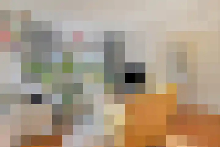 Statenlaan 154 Middelburg thumbnail 4