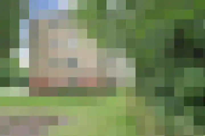 Statenlaan 16 Middelburg thumbnail 21