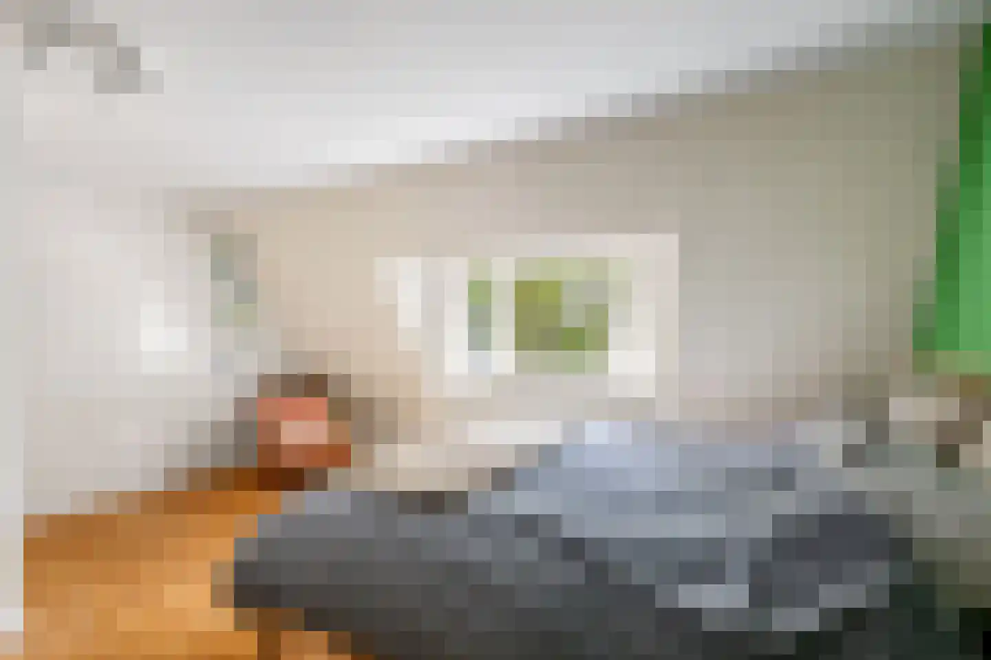 Statenlaan 16 Rotterdam thumbnail 22