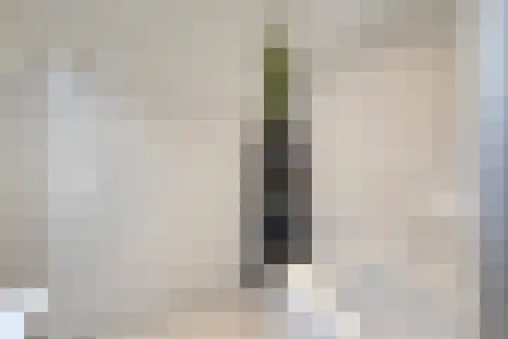 Statenlaan 179 's-Hertogenbosch thumbnail 17