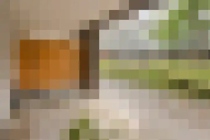 Statenlaan 179 's-Hertogenbosch thumbnail 19
