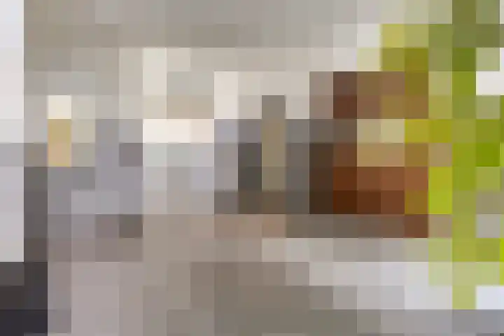 Statenlaan 179 's-Hertogenbosch thumbnail 24
