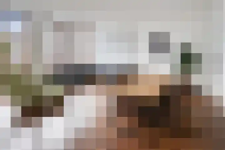 Statenlaan 179 's-Hertogenbosch thumbnail 5