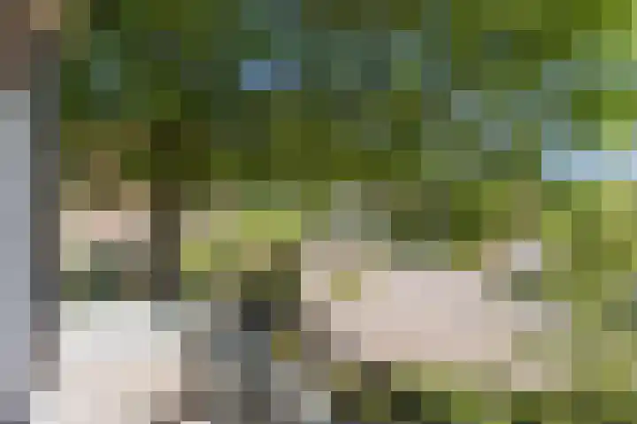 Statenlaan 18 Arnhem thumbnail 11
