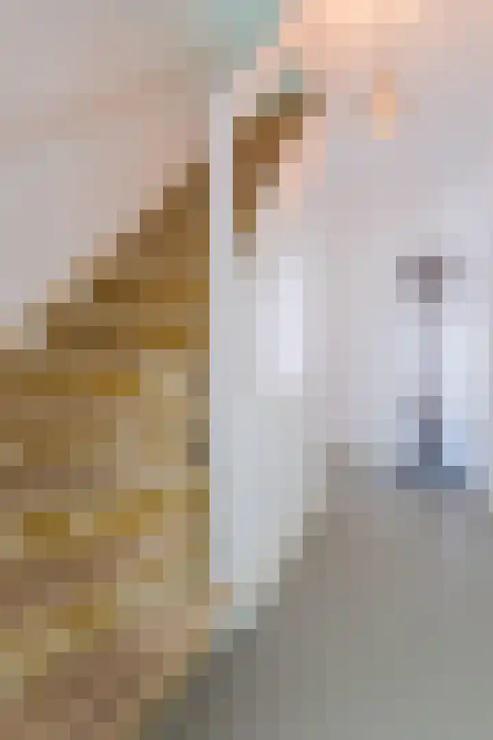 Statenlaan 18 Arnhem thumbnail 26
