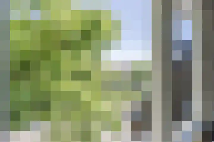 Statenlaan 18 Arnhem thumbnail 30