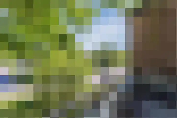 Statenlaan 18 Arnhem thumbnail 5