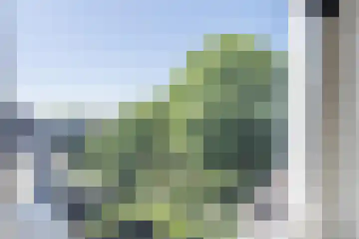 Statenlaan 18 Arnhem thumbnail 59