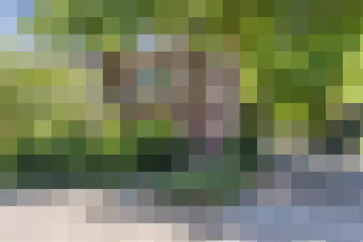 Statenlaan 18 Arnhem thumbnail 63