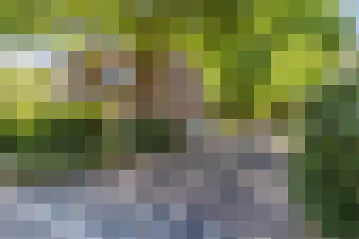 Statenlaan 18 Arnhem thumbnail 64