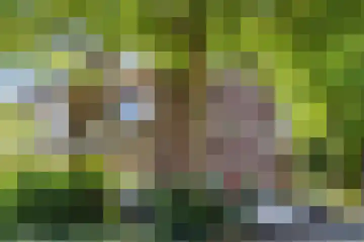Statenlaan 18 Arnhem thumbnail 65