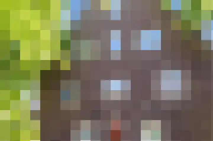 Statenlaan 18 Arnhem thumbnail 66