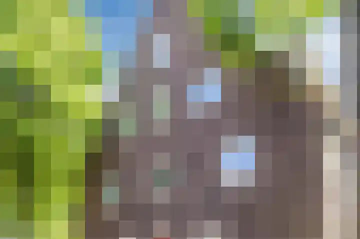 Statenlaan 18 Arnhem thumbnail 67
