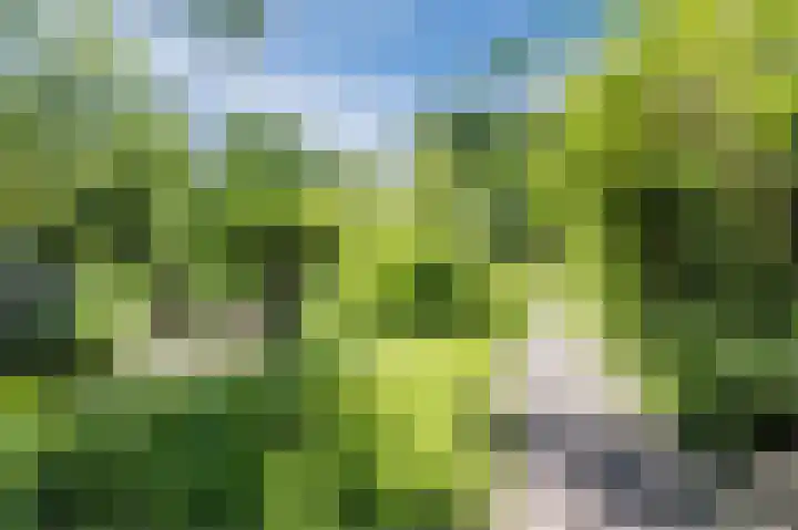 Statenlaan 18 Arnhem thumbnail 70