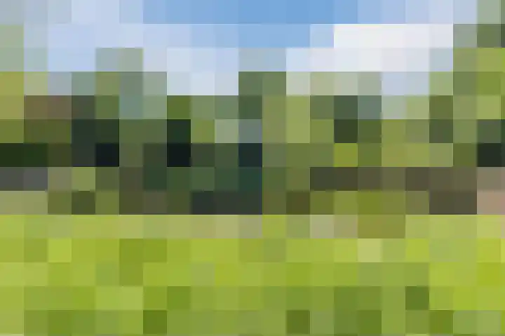 Statenlaan 18 Arnhem thumbnail 71
