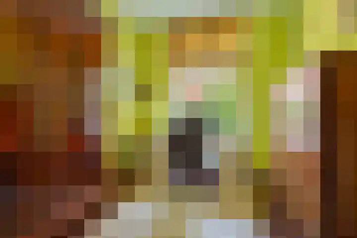 Statenlaan 18 Bussum thumbnail 12