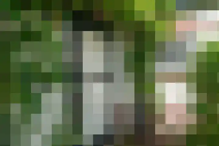 Statenlaan 18 Bussum thumbnail 25