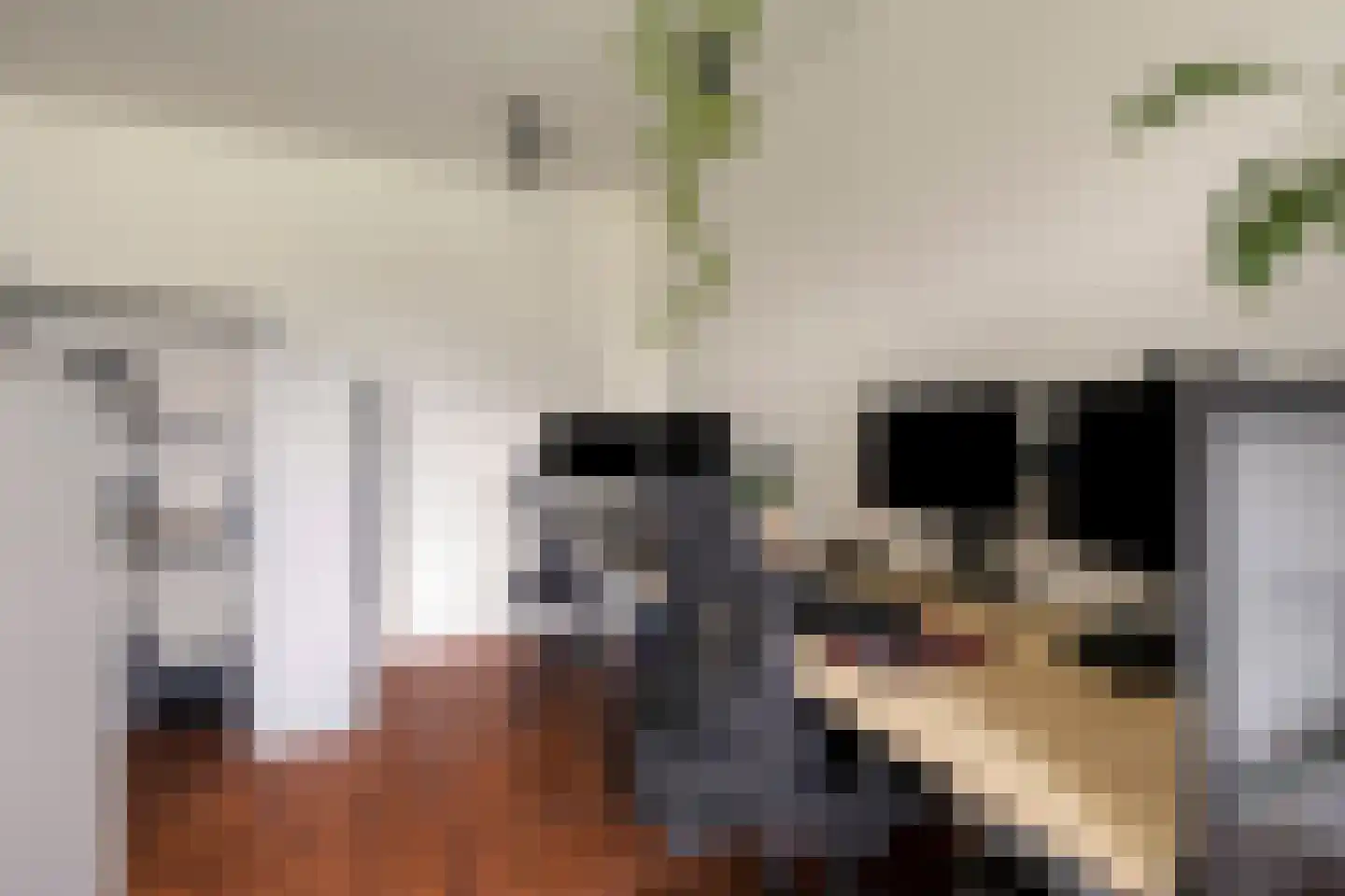 Statenlaan 189 's-Hertogenbosch thumbnail 9