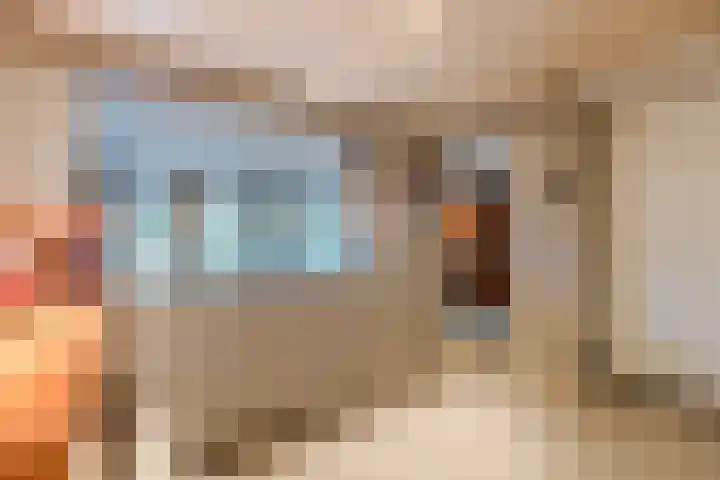 Statenlaan 19 Rijen thumbnail 10