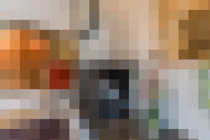 Statenlaan 19 Rijen thumbnail 14
