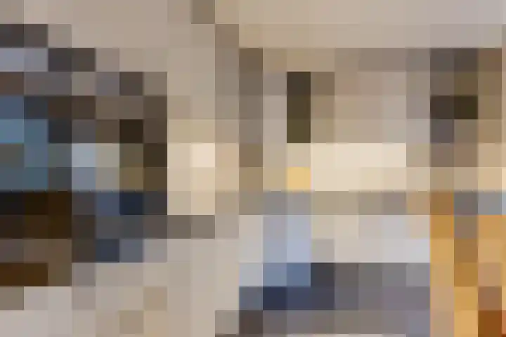Statenlaan 19 Rijen thumbnail 17