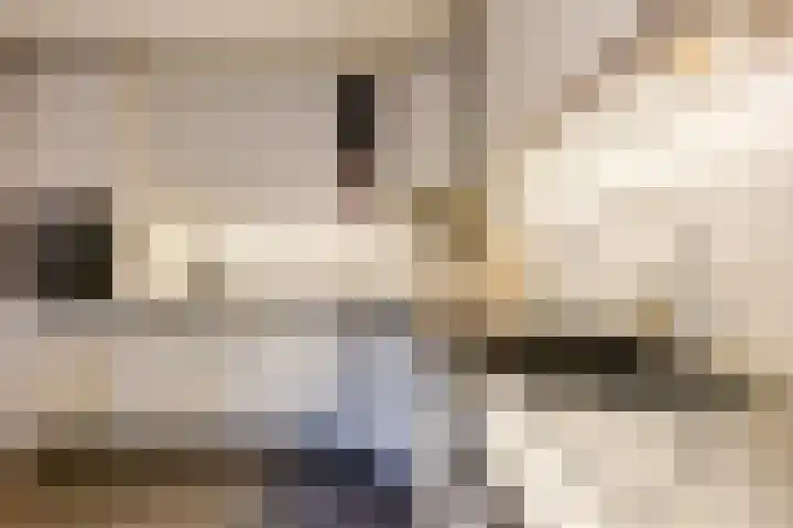 Statenlaan 19 Rijen thumbnail 18