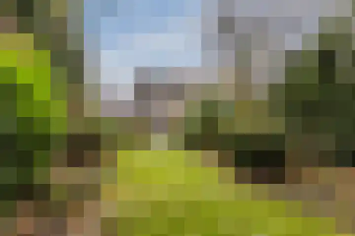 Statenlaan 19 Rijen foto 2