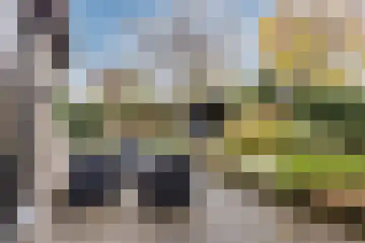 Statenlaan 19 Rijen thumbnail 21