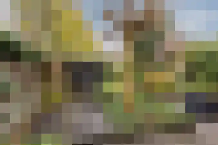 Statenlaan 19 Rijen thumbnail 22