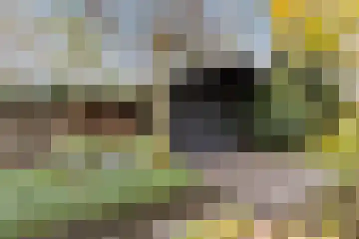 Statenlaan 19 Rijen thumbnail 23
