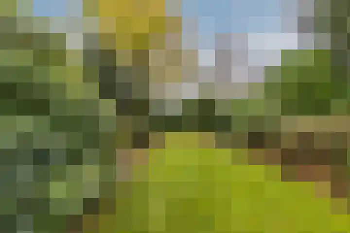Statenlaan 19 Rijen thumbnail 24
