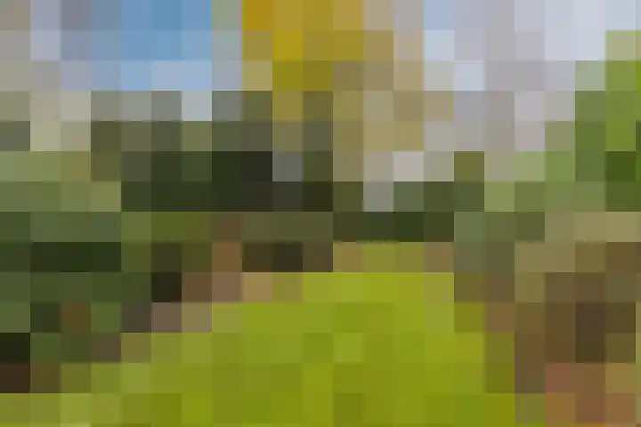 Statenlaan 19 Rijen thumbnail 25