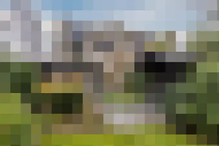 Statenlaan 19 Rijen thumbnail 28