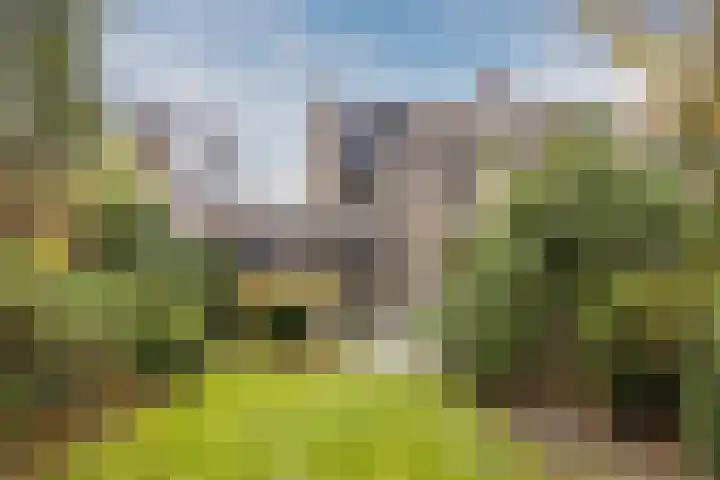 Statenlaan 19 Rijen thumbnail 29