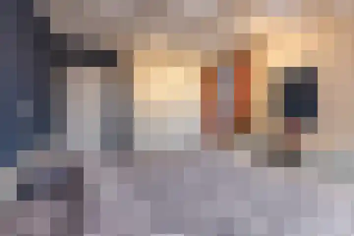 Statenlaan 19 Rijen thumbnail 34