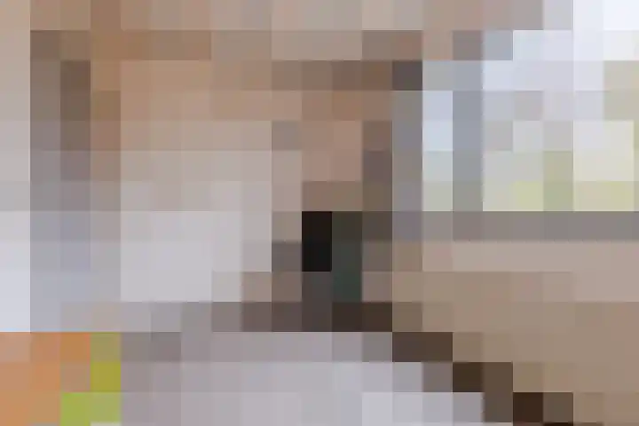 Statenlaan 19 Rijen thumbnail 39