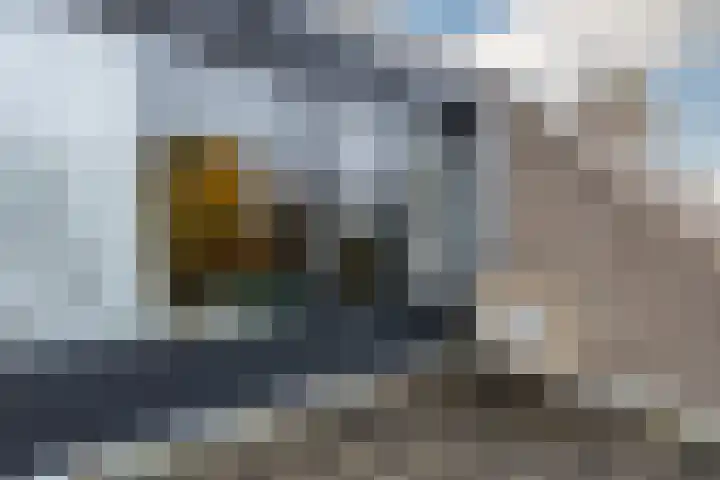 Statenlaan 19 Rijen thumbnail 49