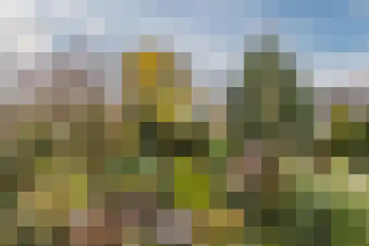 Statenlaan 19 Rijen thumbnail 50