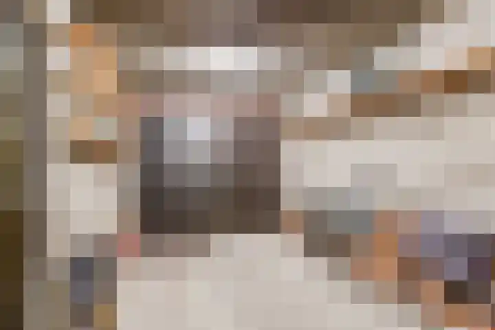 Statenlaan 19 Rijen thumbnail 8