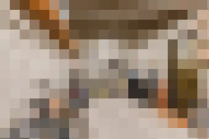 Statenlaan 19 Rijen thumbnail 9