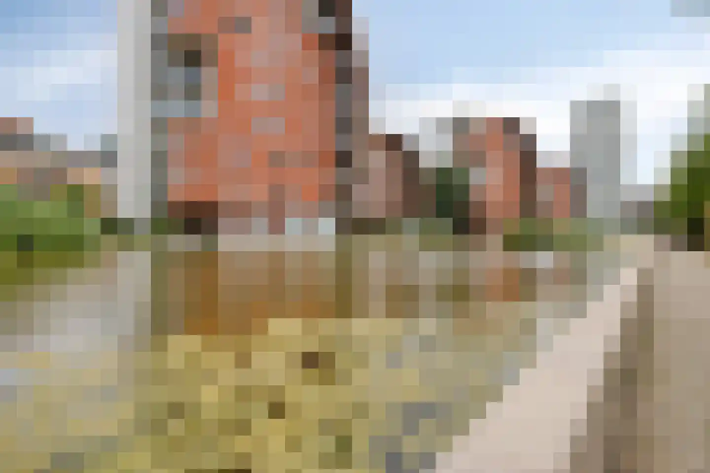 Statenlaan 191 's-Hertogenbosch thumbnail 23
