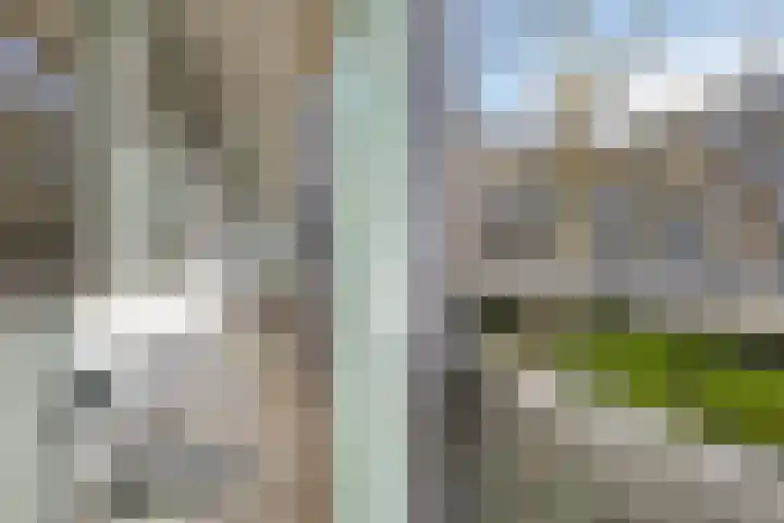 Statenlaan 193 's-Hertogenbosch thumbnail 17
