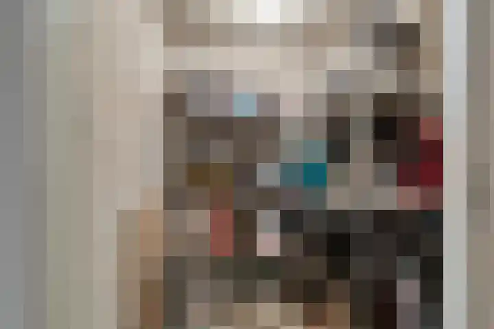 Statenlaan 193 's-Hertogenbosch thumbnail 25