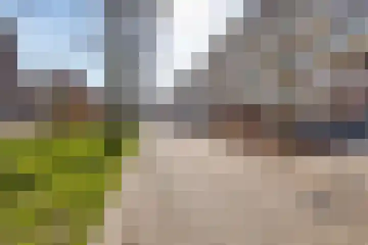 Statenlaan 193 's-Hertogenbosch thumbnail 28