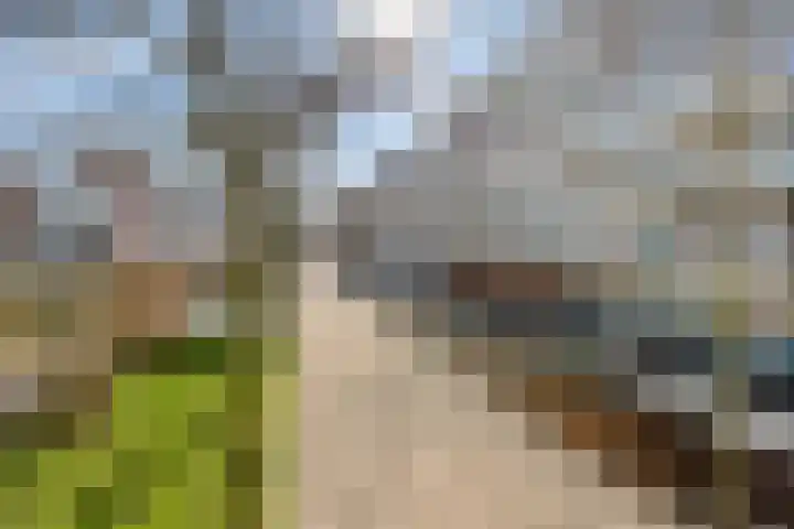 Statenlaan 193 's-Hertogenbosch thumbnail 30