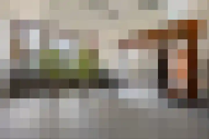 Statenlaan 193 's-Hertogenbosch thumbnail 7