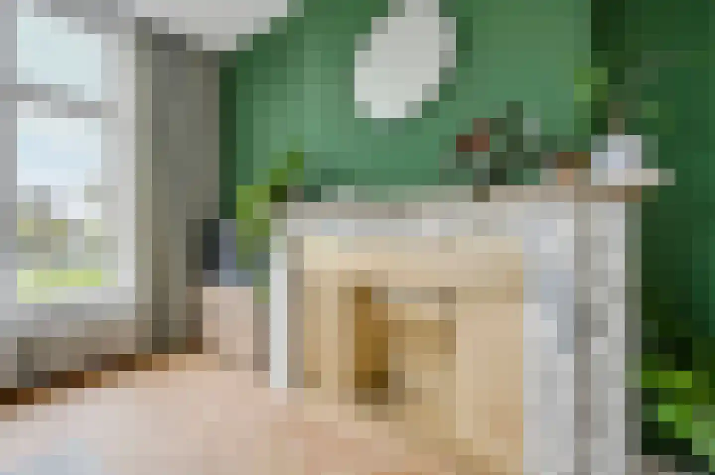 Statenlaan 2 B Den Haag thumbnail 16