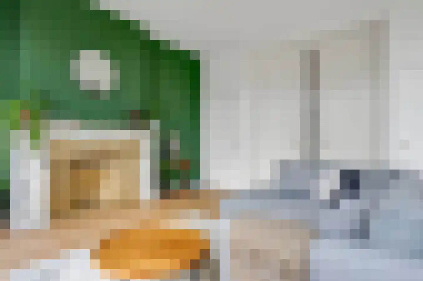 Statenlaan 2 B Den Haag thumbnail 18
