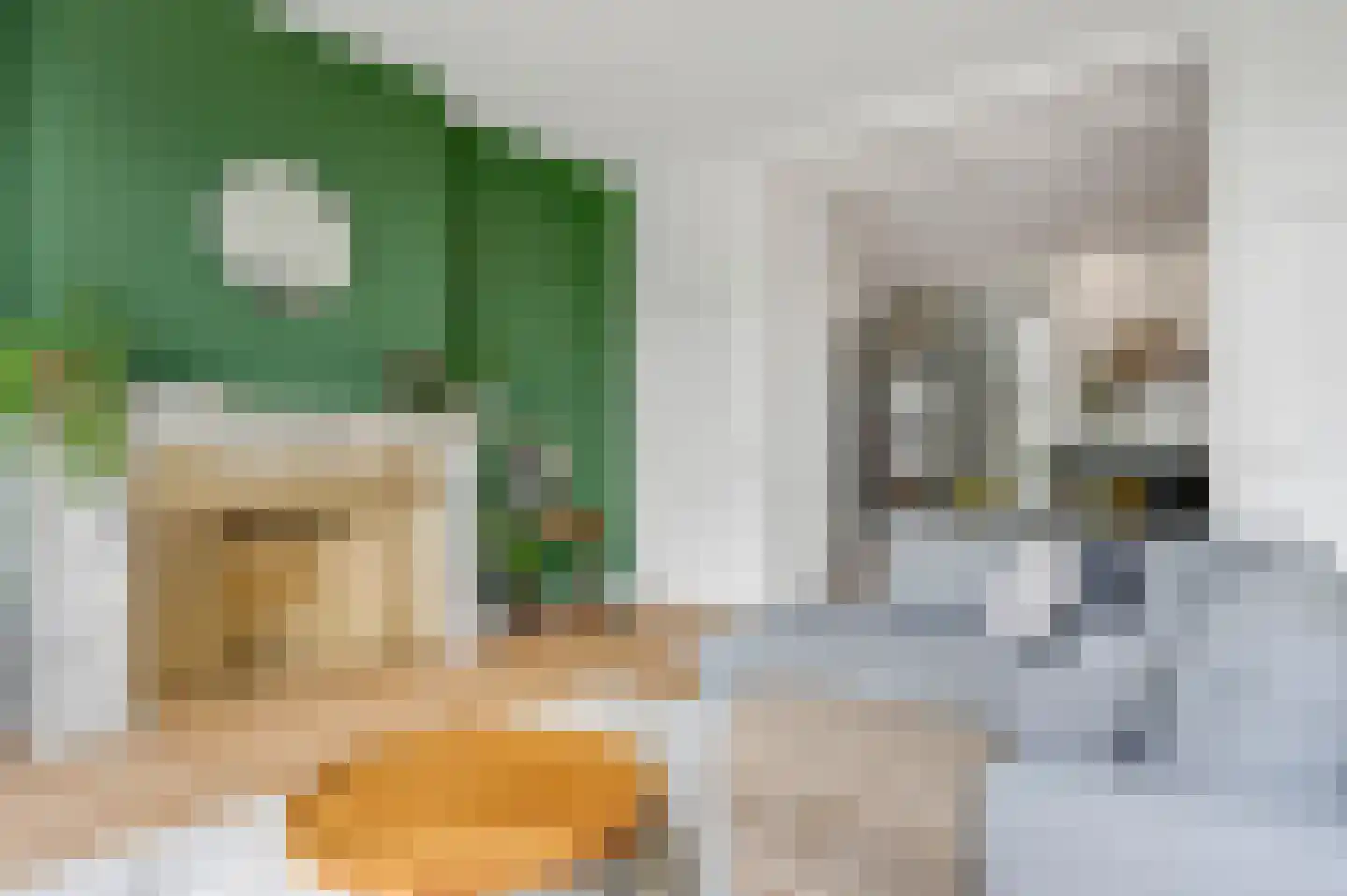 Statenlaan 2 B Den Haag thumbnail 19