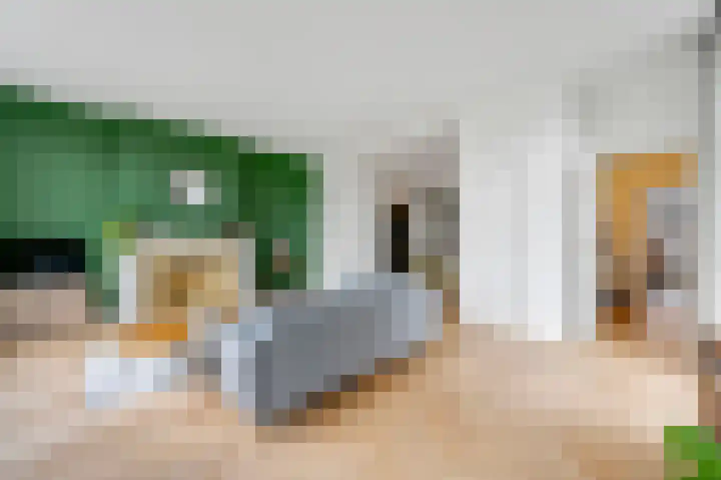 Statenlaan 2 B Den Haag thumbnail 20